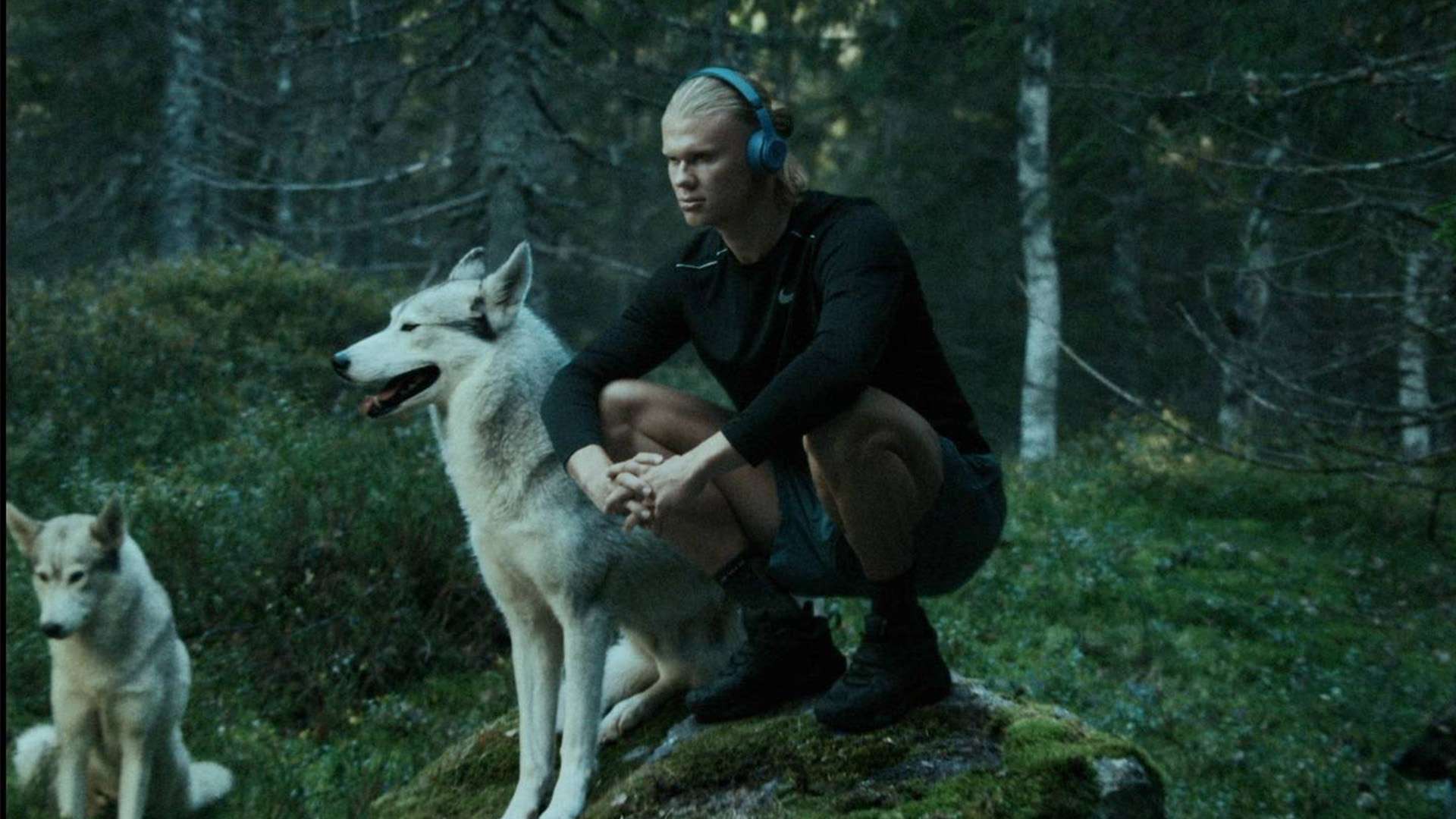 法国队的边 法国队的边